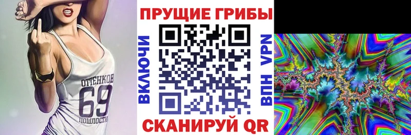 Галлюциногенные грибы Psilocybine cubensis  закладки  Вуктыл 